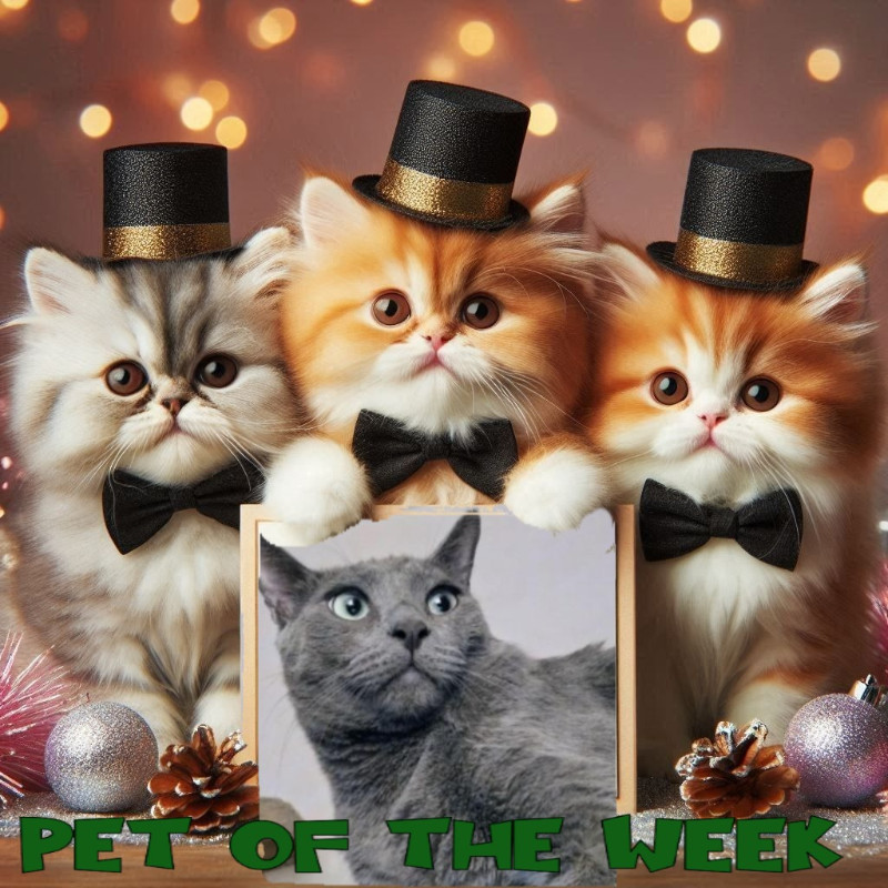 Logan of the thebugster08 family