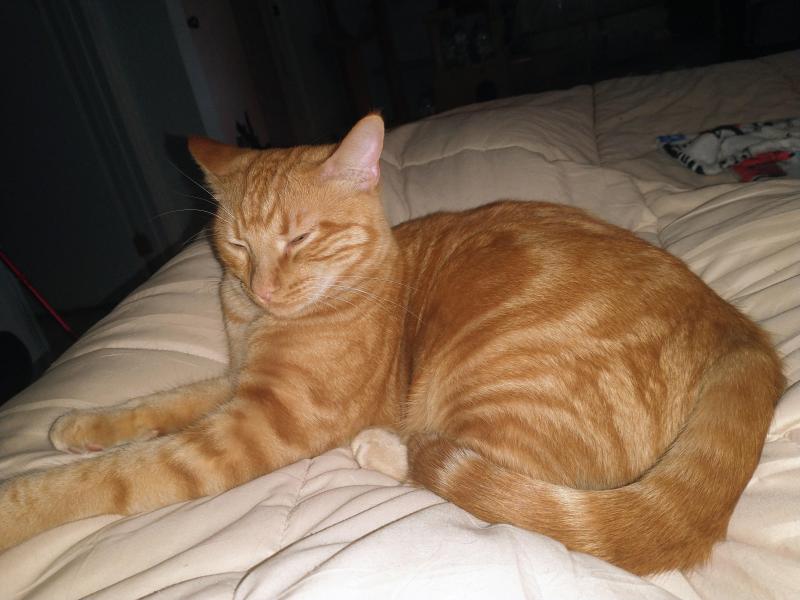 thebugster08 uploaded   193  day/s  ago