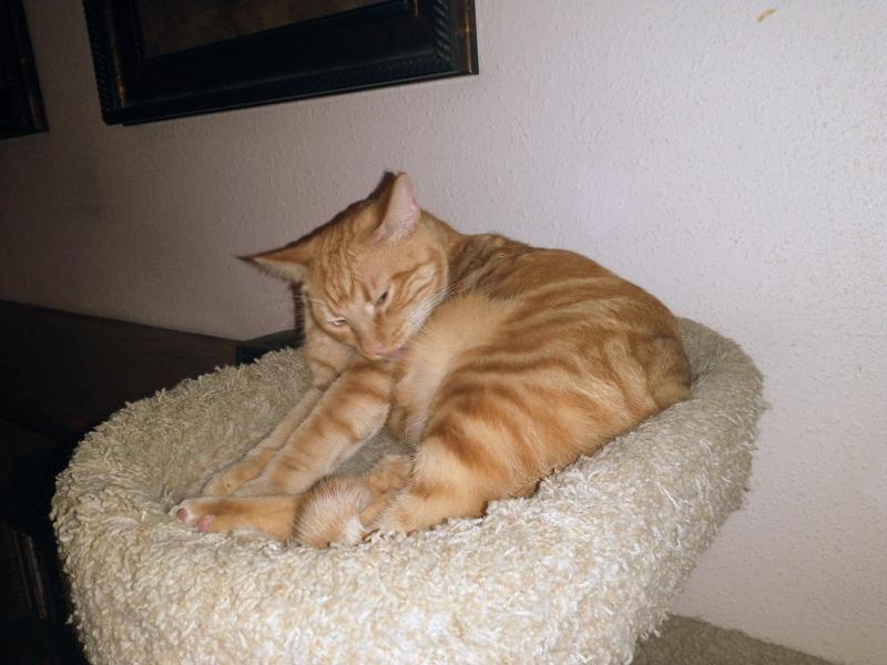 thebugster08 uploaded   186  day/s  ago