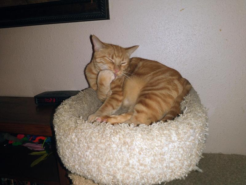 thebugster08 uploaded   200  day/s  ago