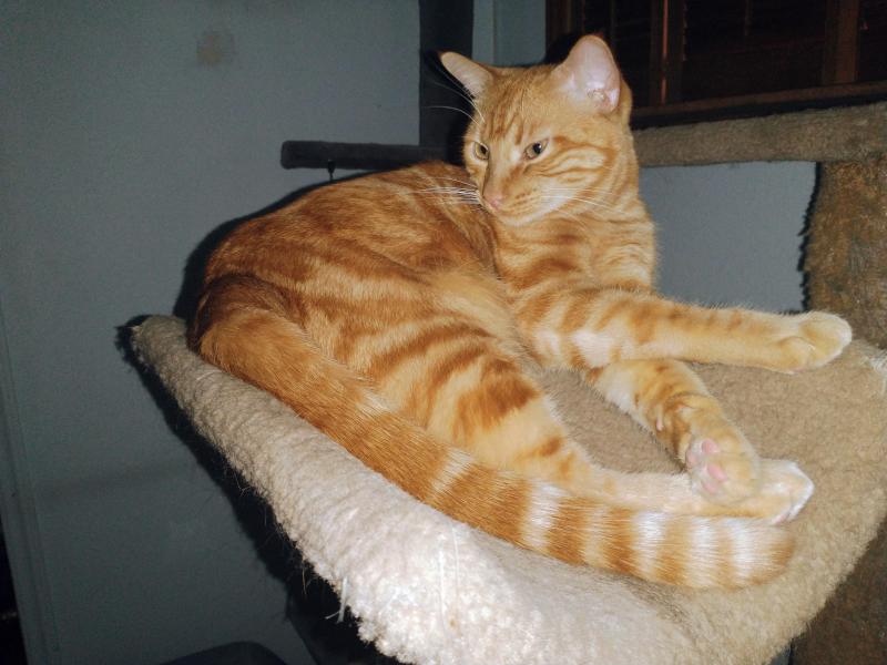 thebugster08 uploaded   172  day/s  ago