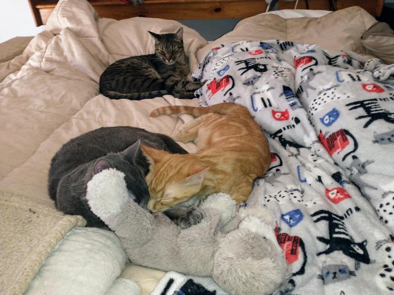 thebugster08 uploaded   1 year/s ago