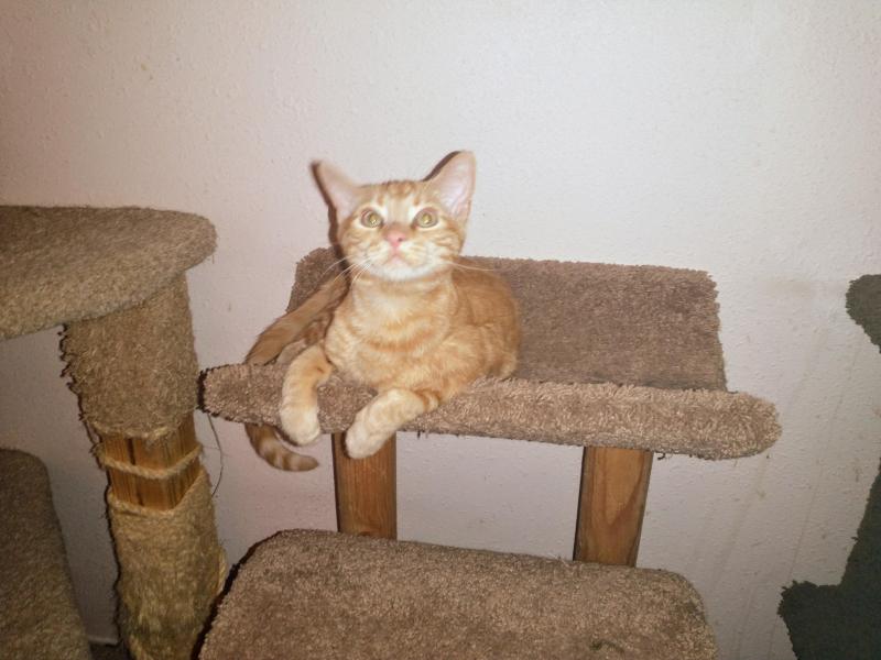 thebugster08 uploaded   1 year/s ago