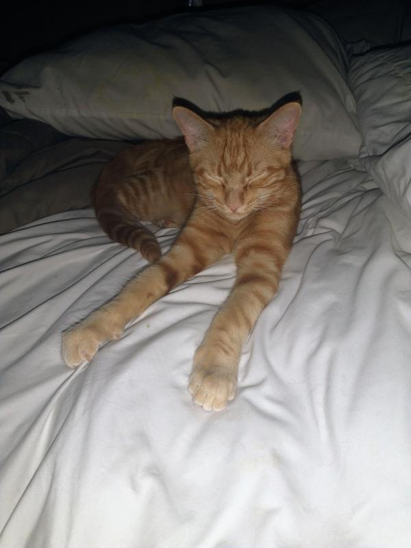 thebugster08 uploaded   1 year/s ago