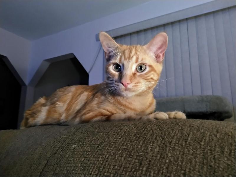 thebugster08 uploaded   1 year/s ago