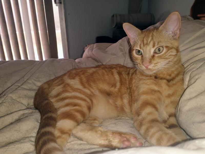 thebugster08 uploaded   1 year/s ago