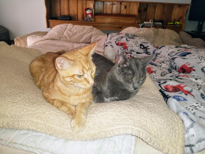 thebugster08 uploaded   1 year/s ago