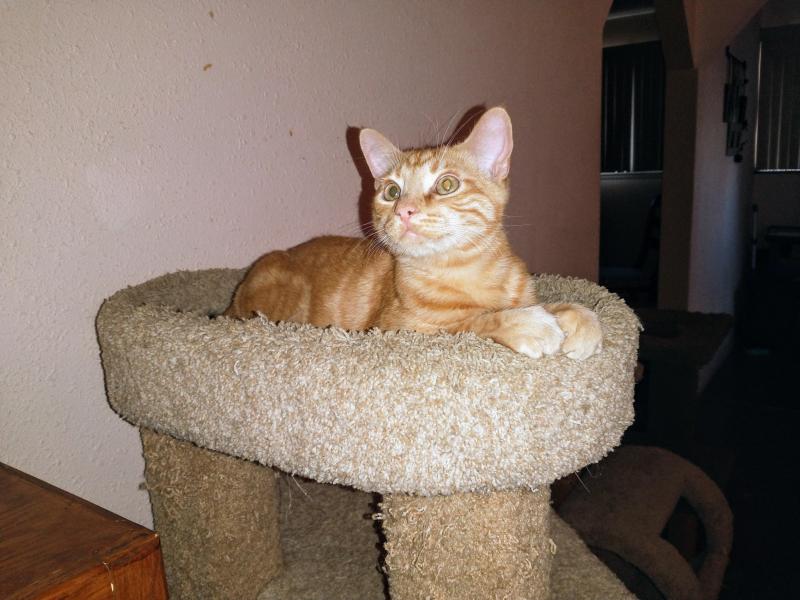 thebugster08 uploaded   1 year/s ago