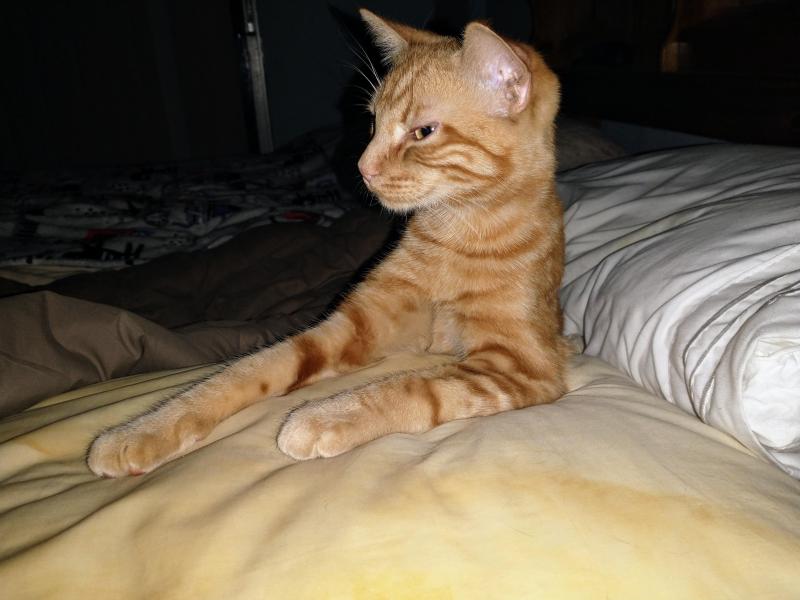 thebugster08 uploaded   1 year/s ago