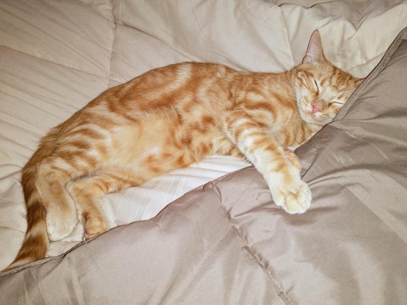 thebugster08 uploaded   1 year/s ago