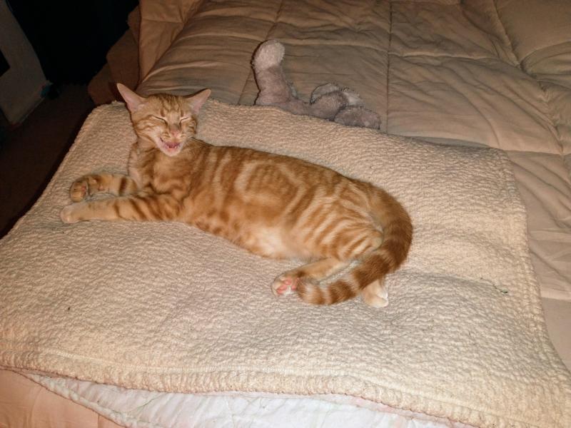 thebugster08 uploaded   1 year/s ago