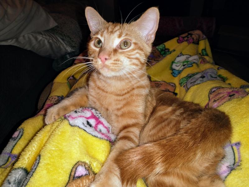 thebugster08 uploaded   1 year/s ago