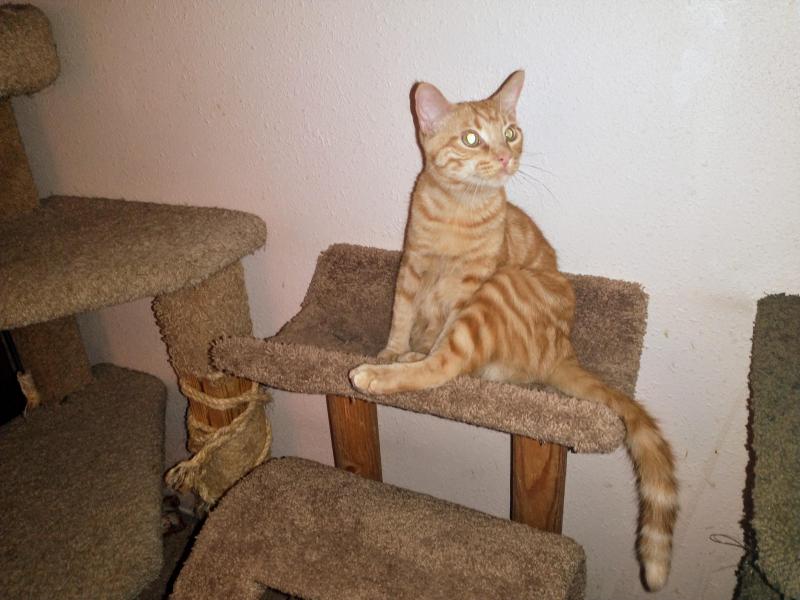 thebugster08 uploaded   1 year/s ago