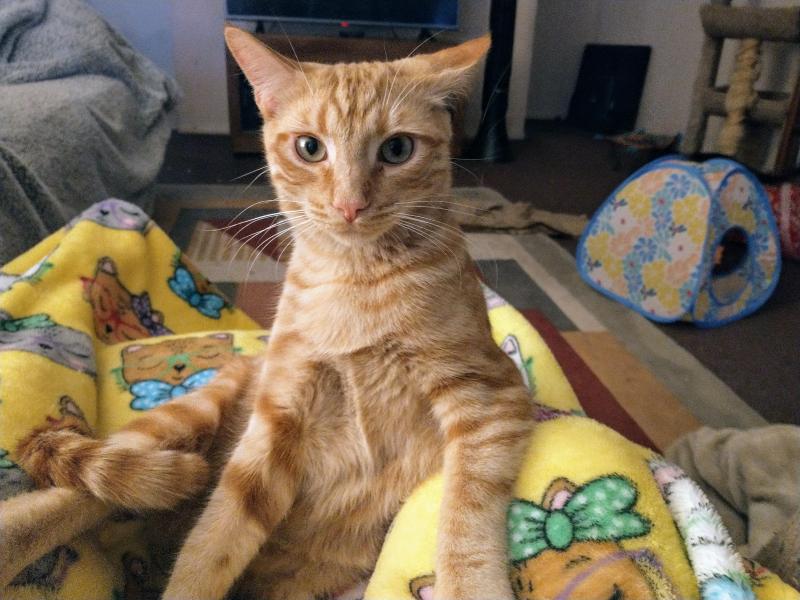 thebugster08 uploaded   1 year/s ago