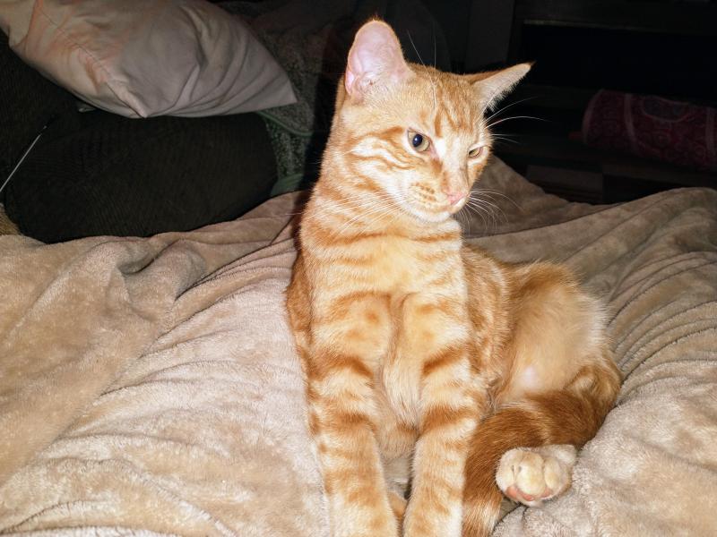 thebugster08 uploaded   344  day/s  ago