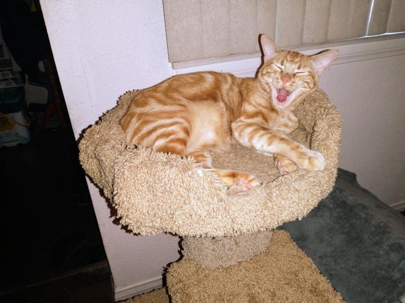 thebugster08 uploaded   337  day/s  ago