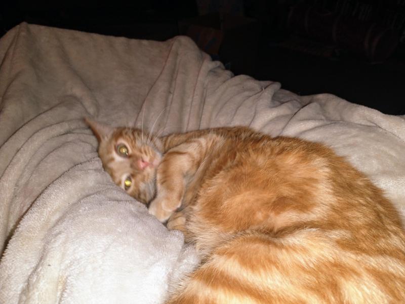 thebugster08 uploaded   358  day/s  ago