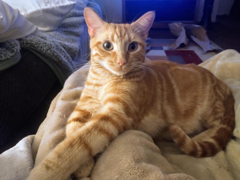 thebugster08 uploaded   240  day/s  ago