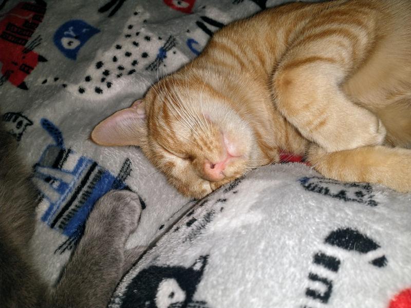 thebugster08 uploaded   309  day/s  ago