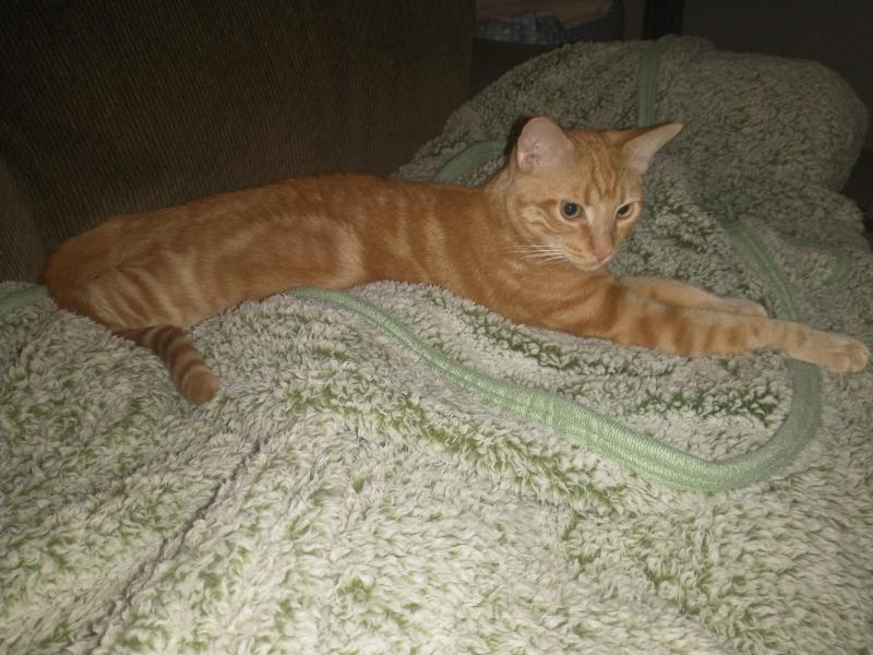 thebugster08 uploaded   330  day/s  ago