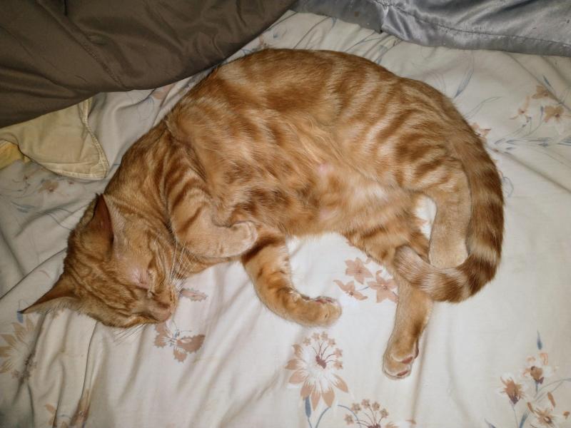 thebugster08 uploaded   302  day/s  ago