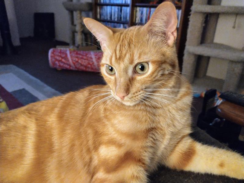 thebugster08 uploaded   323  day/s  ago