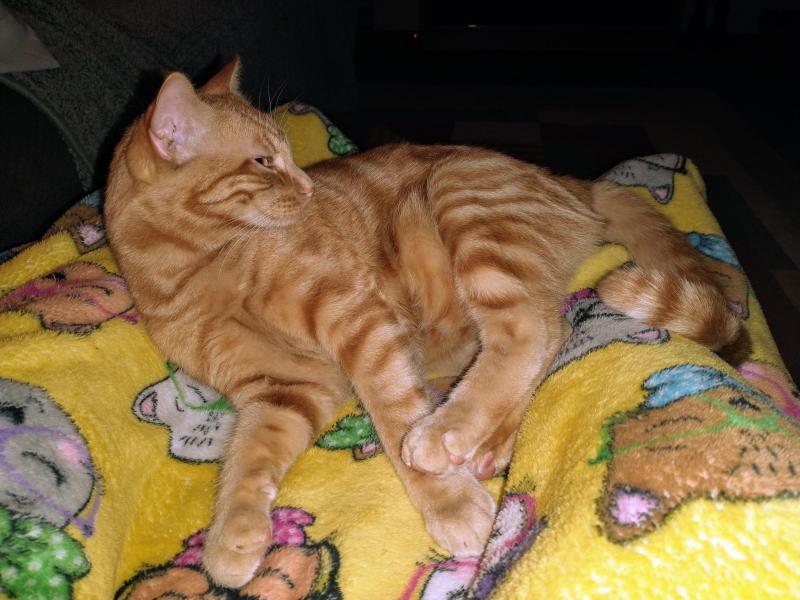 thebugster08 uploaded   287  day/s  ago