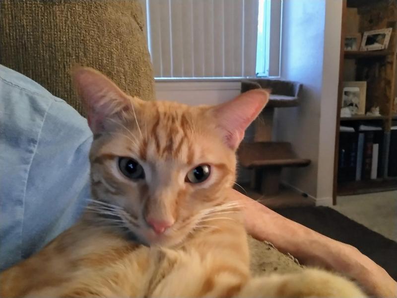 thebugster08 uploaded   273  day/s  ago