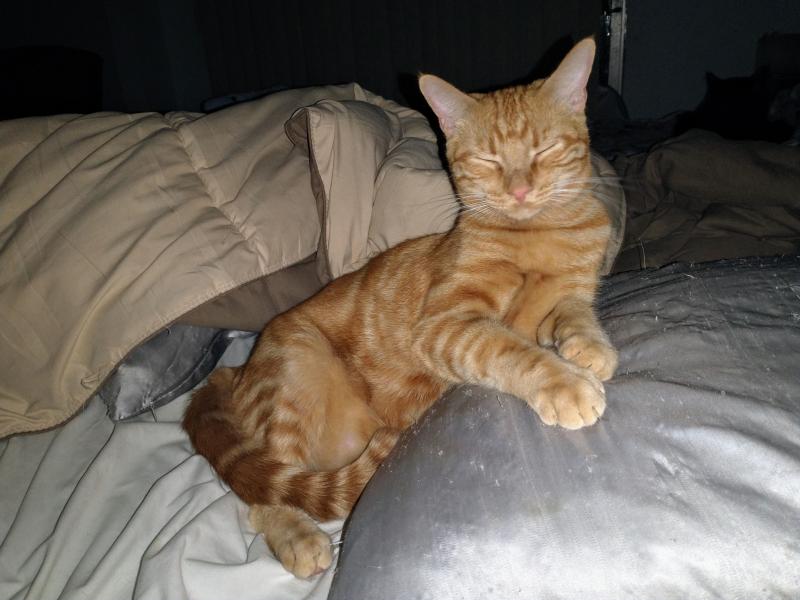 thebugster08 uploaded   273  day/s  ago