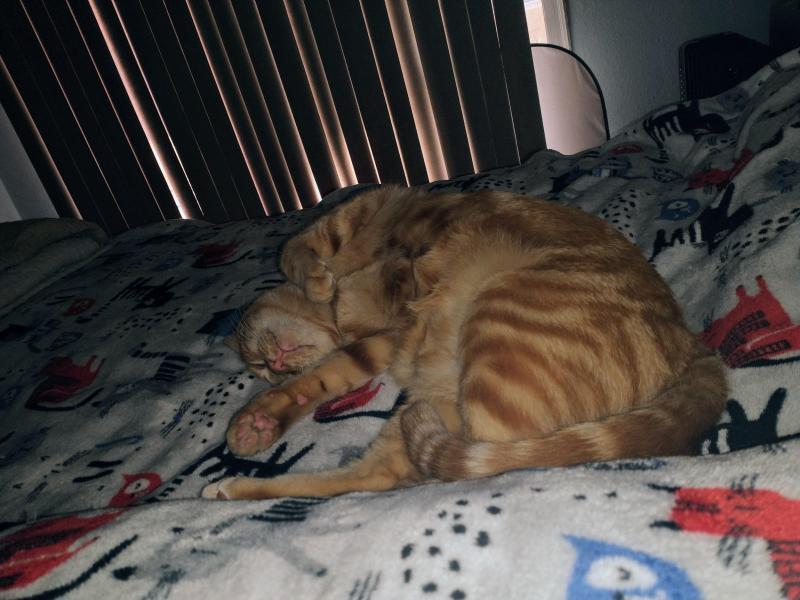 thebugster08 uploaded   259  day/s  ago