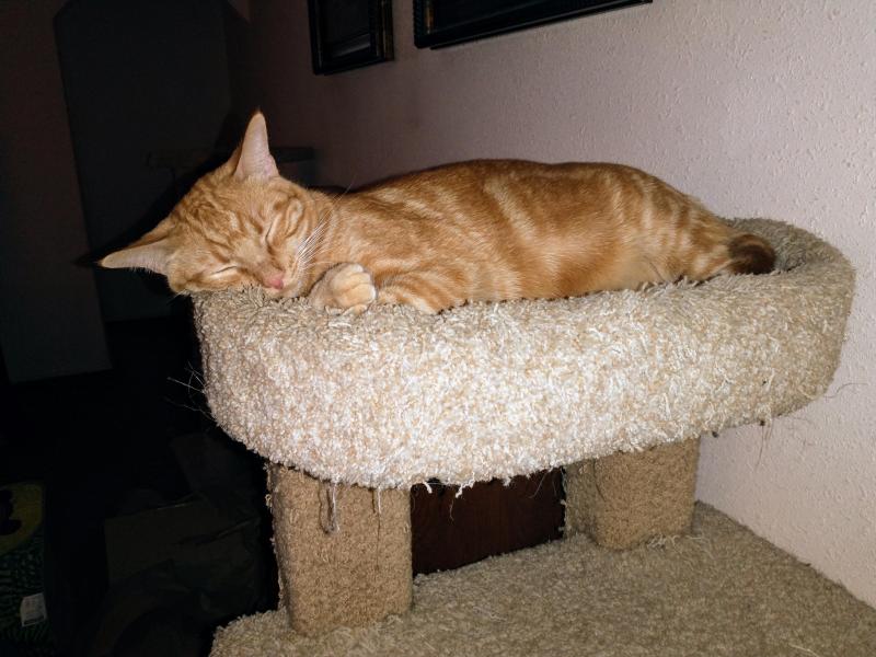 thebugster08 uploaded   252  day/s  ago