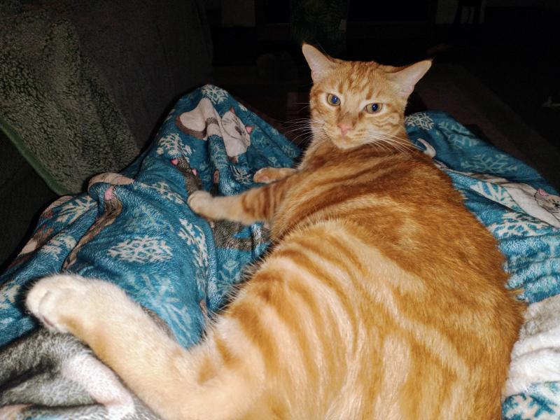 thebugster08 uploaded   243  day/s  ago