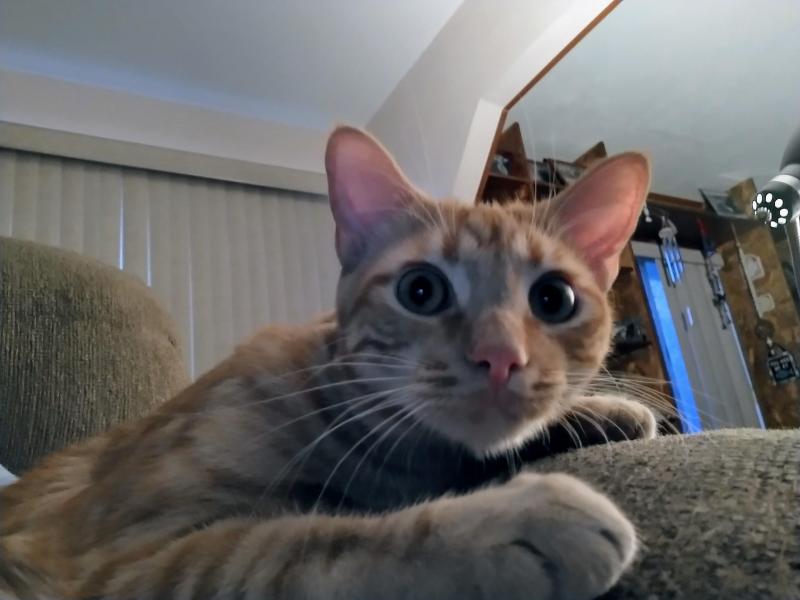 thebugster08 uploaded   266  day/s  ago