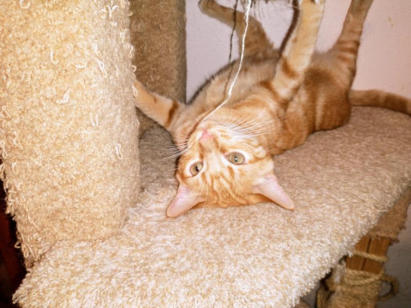 thebugster08 uploaded   236  day/s  ago