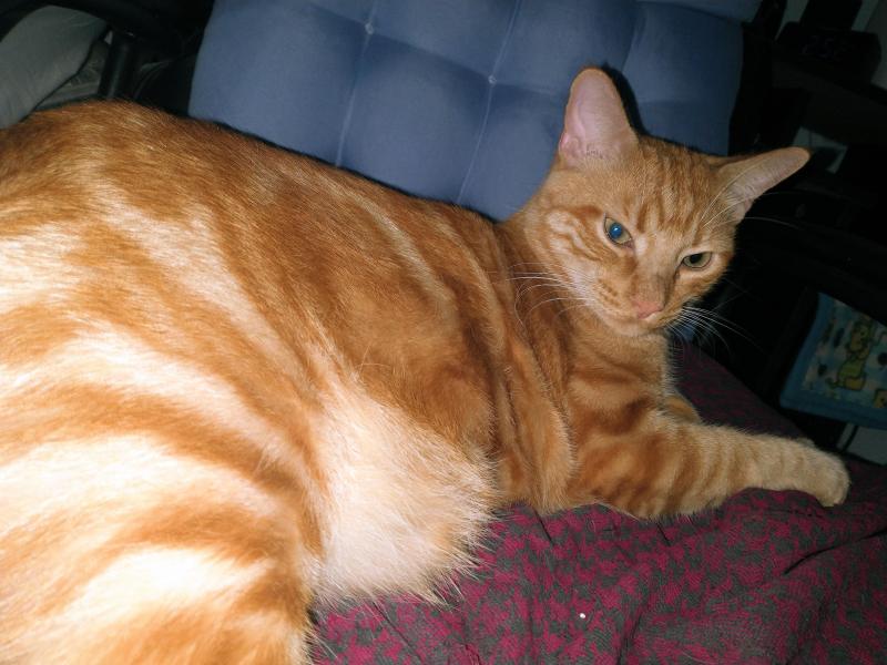 thebugster08 uploaded   214  day/s  ago