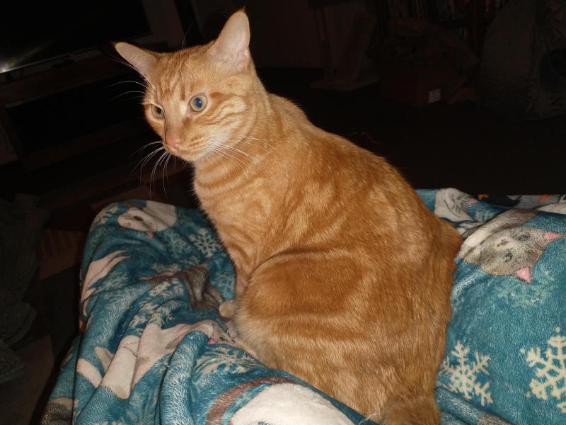 thebugster08 uploaded   101  day/s  ago