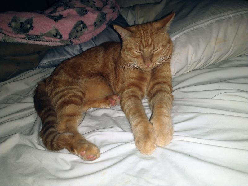 thebugster08 uploaded   93  day/s  ago