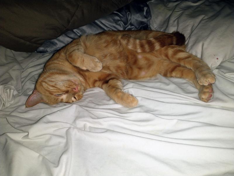 thebugster08 uploaded   86  day/s  ago