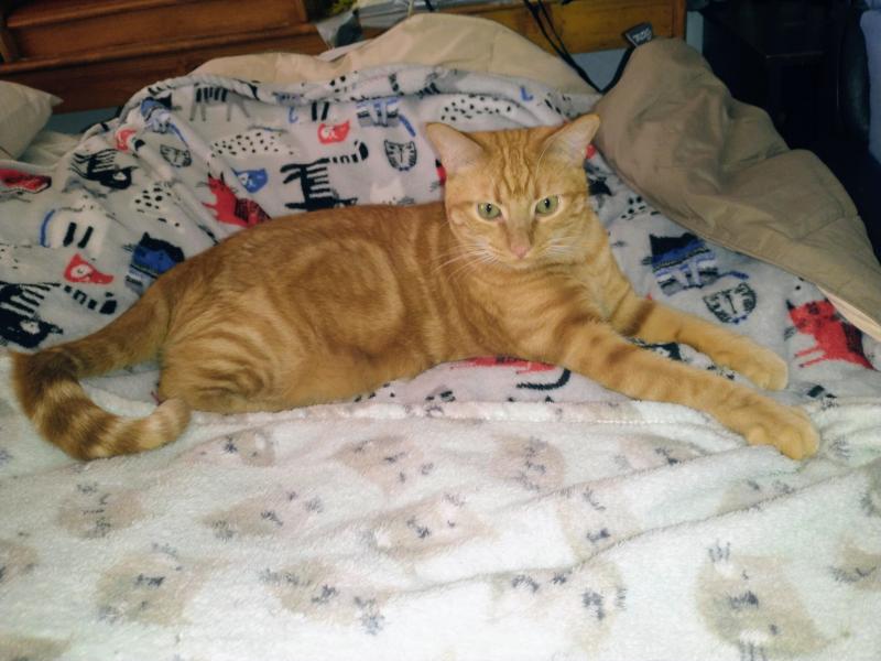 thebugster08 uploaded   79  day/s  ago