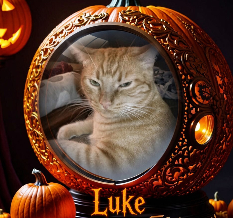 Luke of the thebugster08 family