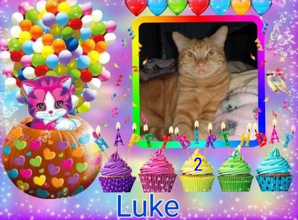 Luke of the thebugster08 family