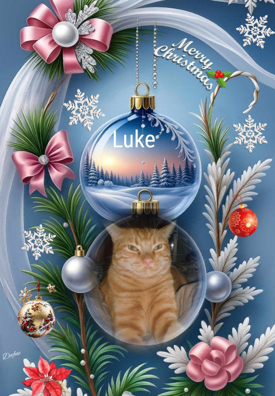 Luke of the thebugster08 family