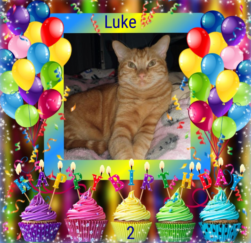 Luke of the thebugster08 family