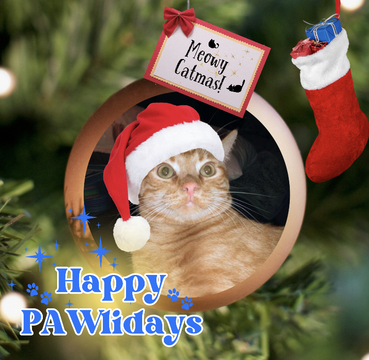 Luke of the thebugster08 family