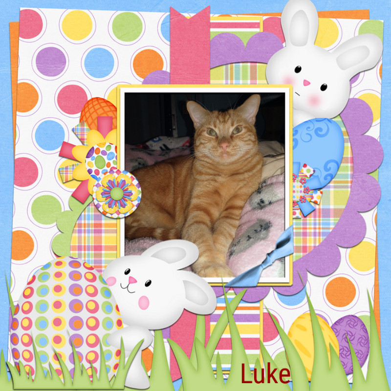 Luke of the thebugster08 family