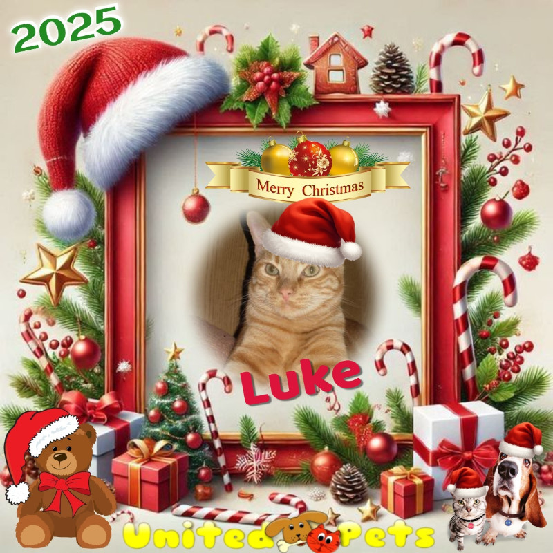 Luke of the thebugster08 family