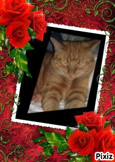 thebugster08 uploaded   88  day/s  ago