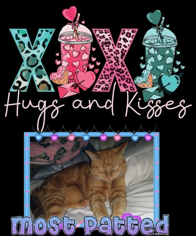 thebugster08 uploaded   89  day/s  ago