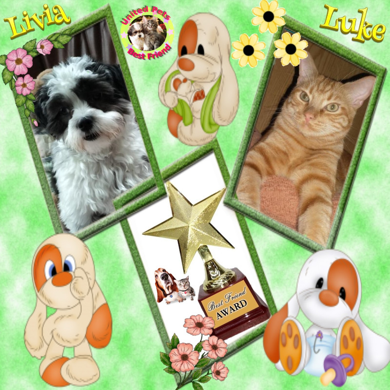 Luke of the thebugster08 family