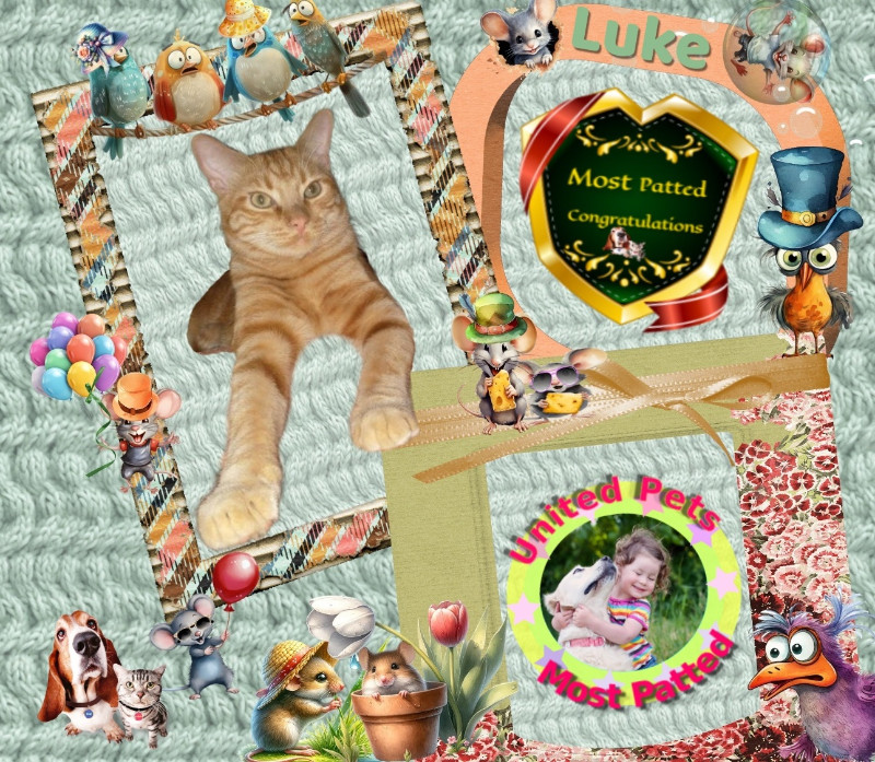 thebugster08 uploaded   91  day/s  ago